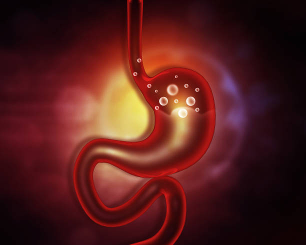 Professional dermatologist examining skin in hospital clinic