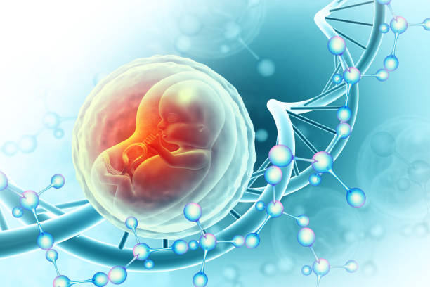Cardiology heart care and monitoring in hospital